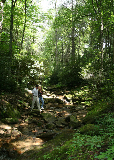 At Stream